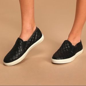 SteveMadden Ecentrcq Black Slip On shoes